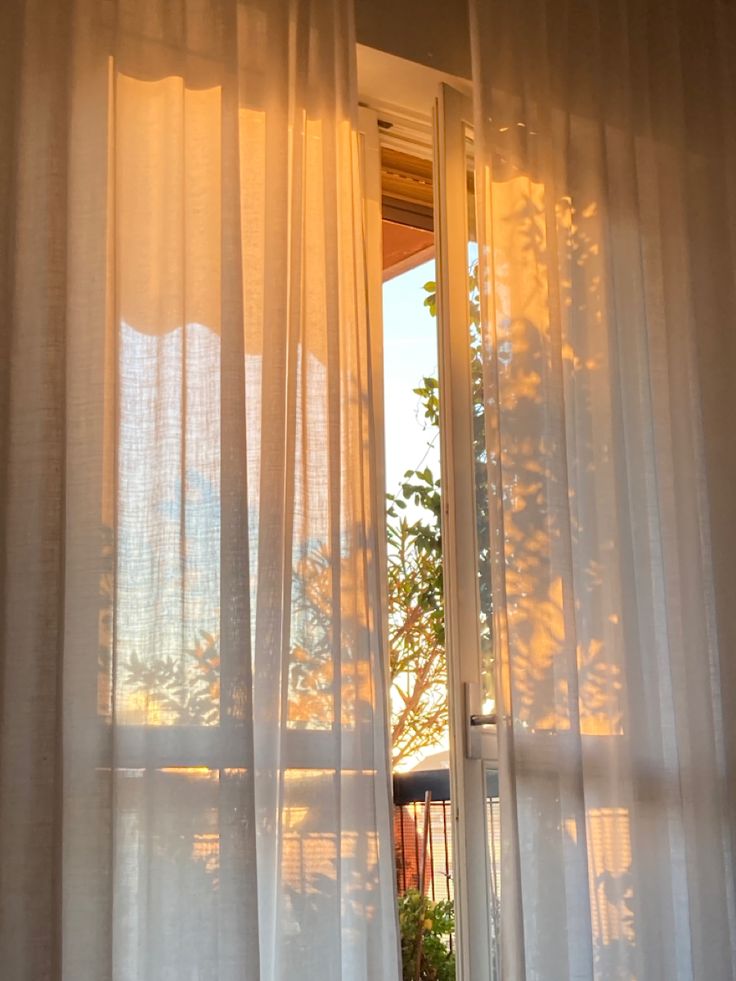 Menikmati Keheningan Pagi sebelum Aktivitas Dimulai