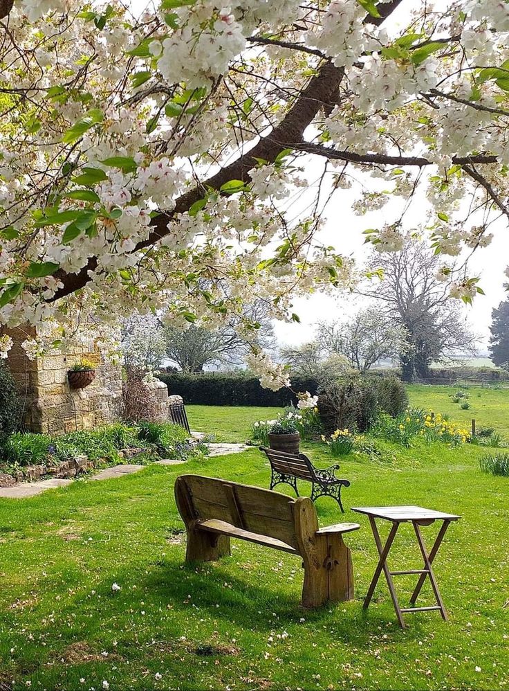 Cara Sederhana Menemukan Waktu Tenang di Tengah Aktivitas